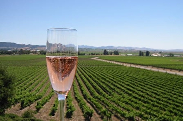 photography-wine-glass-with-vineyard